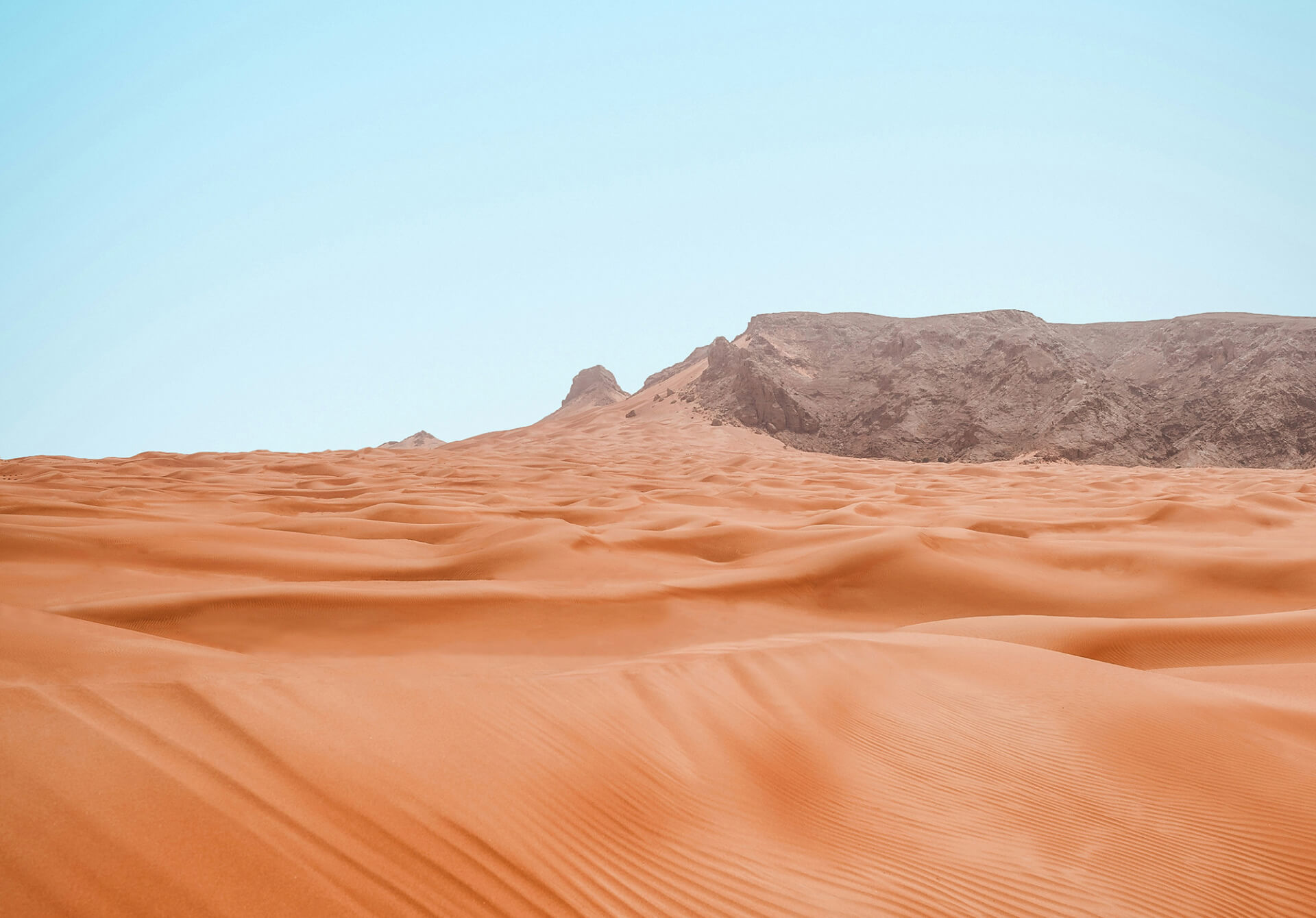 I AM the living bread